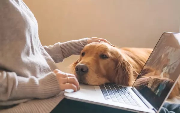 online banking small