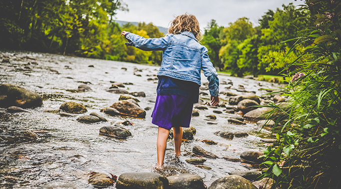 stepping-stones