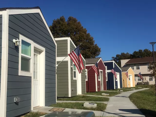 Row of houses with flag